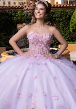 Quinceanera 4080024^Vizcaya Online