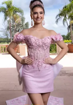 Quinceanera 4080024^Vizcaya Online