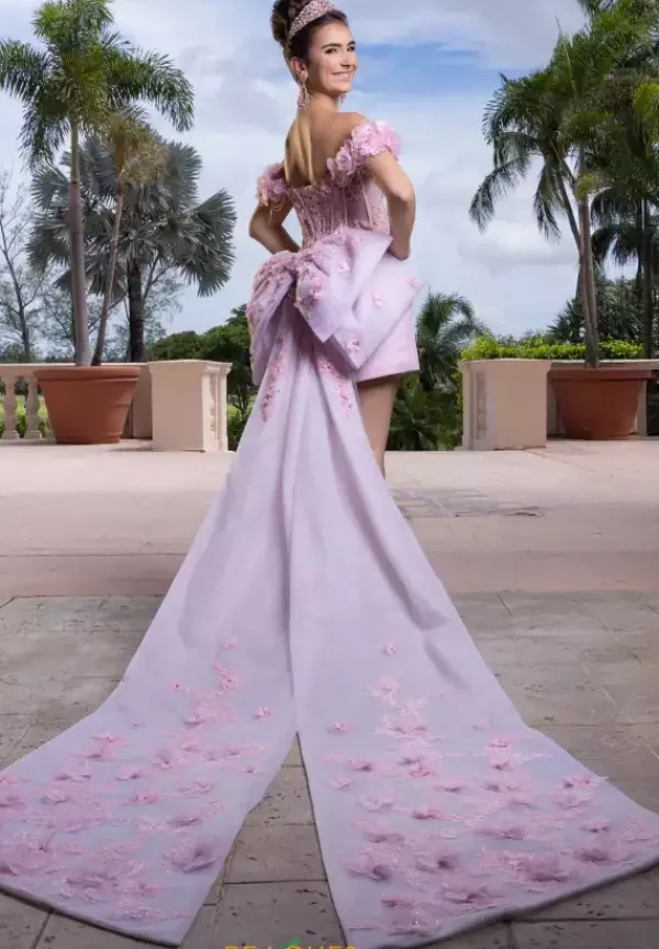 Quinceanera 4080024^Vizcaya Online