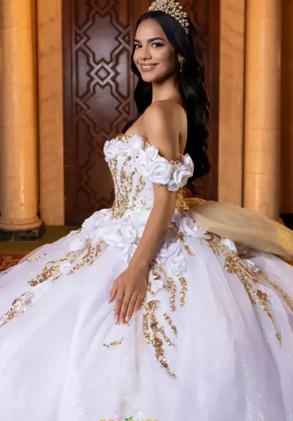 Quinceanera 4080020^Vizcaya Best