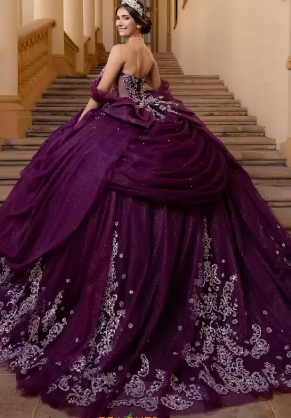 Quinceanera 4080019^Vizcaya Sale